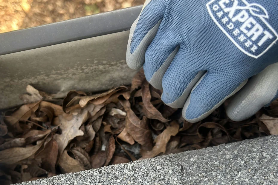 Gutter Cleaning Cleveland