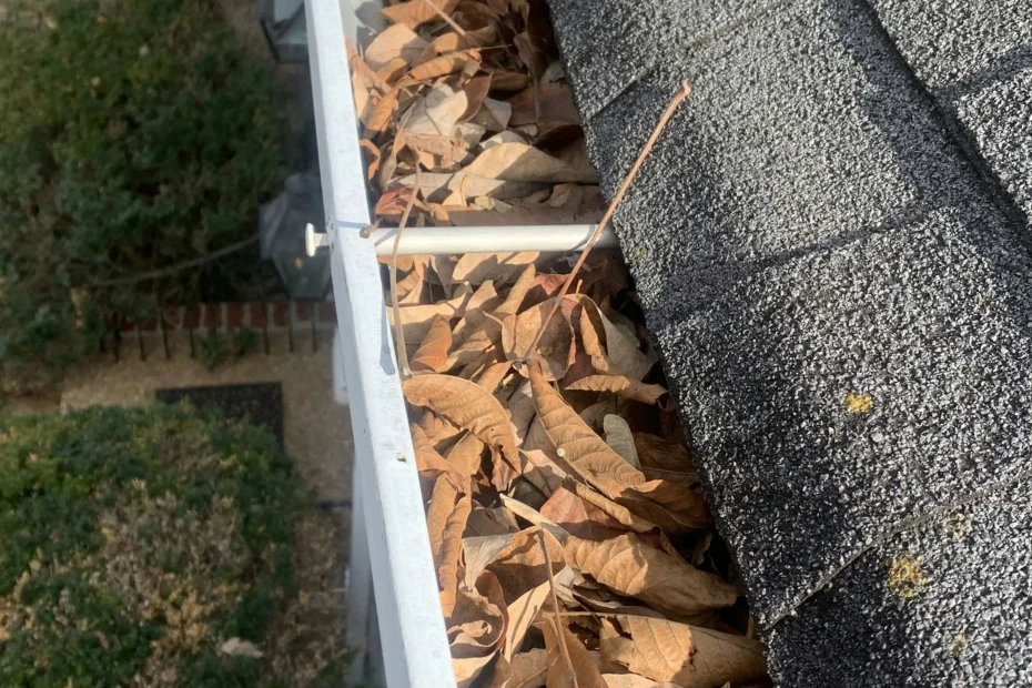 Gutter Cleaning Cleveland